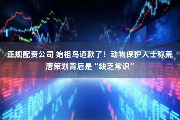 正规配资公司 始祖鸟道歉了！动物保护人士称荒唐策划背后是“缺乏常识”